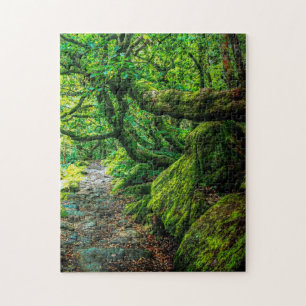 Quebra-cabeça Padley Gorge, Debryshire