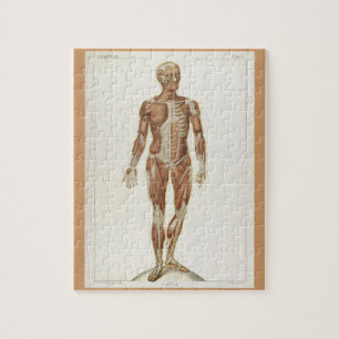 Quebra-cabeça Páginas de um Livro de Anatomia Antigo