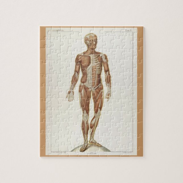 Quebra-cabeça Páginas de um Livro de Anatomia Antigo (Vertical)