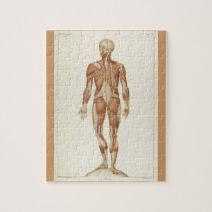 Quebra-cabeça Páginas do Livro de Anatomia Vintage