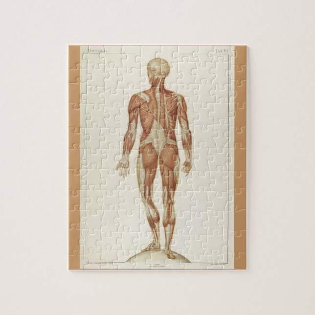 Quebra-cabeça Páginas do Livro de Anatomia Vintage (Vertical)