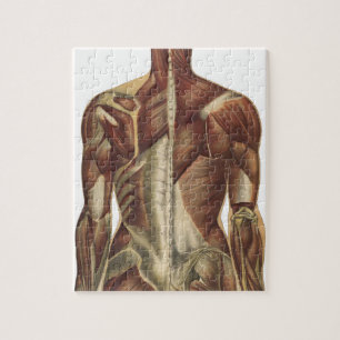 Quebra-cabeça Páginas do Livro de Anatomia Vintage