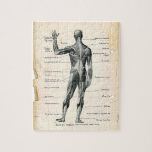 Quebra-cabeça Páginas do Livro de Anatomia Vintage