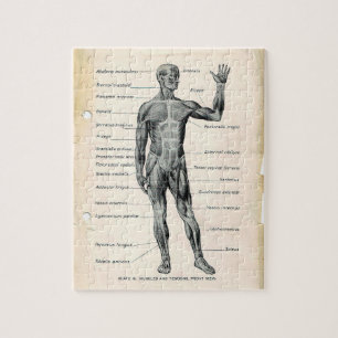 Quebra-cabeça Páginas do Livro de Anatomia Vintage