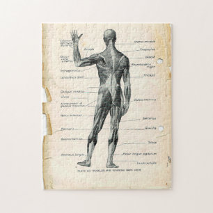 Quebra-cabeça Páginas do Livro de Anatomia Vintage 11x14