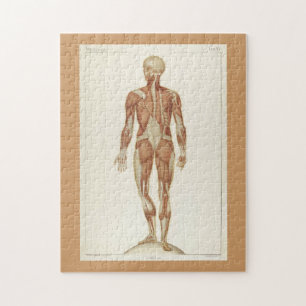 Quebra-cabeça Páginas do Livro de Anatomia Vintage do Desafio M