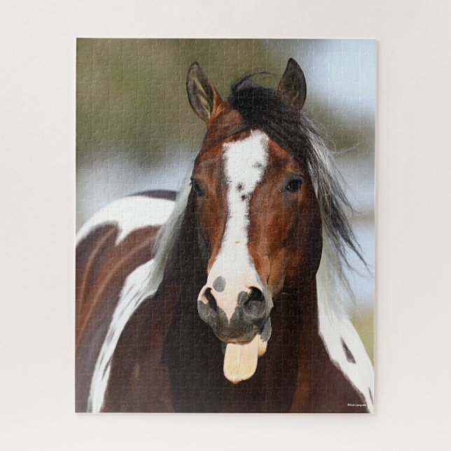 Quebra-cabeça Paint Stallion com Tongue Out Headshot (Vertical)