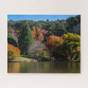Quebra-cabeça Paisagem Colorida da Árvore de outono, 520 Peças