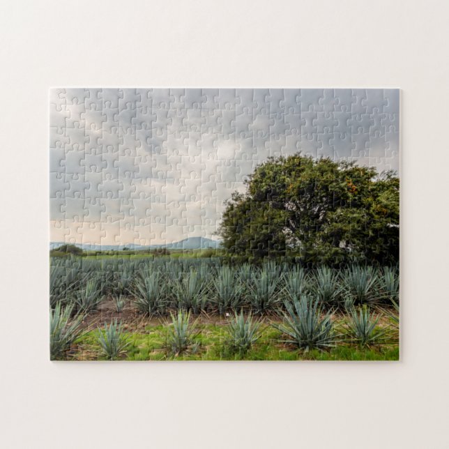 Quebra-cabeça Paisagem com agave azul (Horizontal)