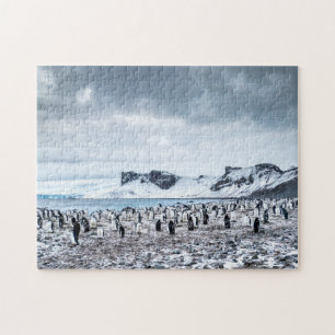 Quebra-cabeça Paisagem da colônia do pinguim de Chinstrap