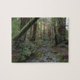 Quebra-cabeça Paisagem da Floresta de Muir Woods