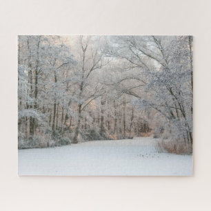 Quebra-cabeça Paisagem da neve do inverno, 520 peças Quebra-cab