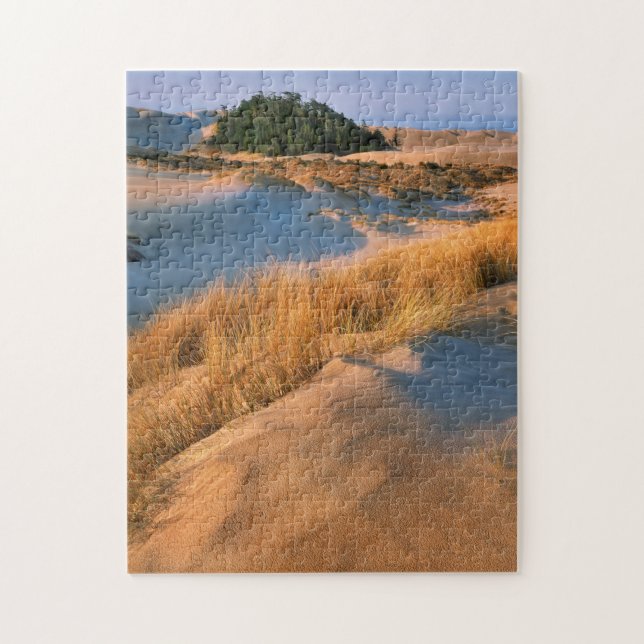 Quebra-cabeça Paisagem das Dunas de Areia de Oregon (Vertical)