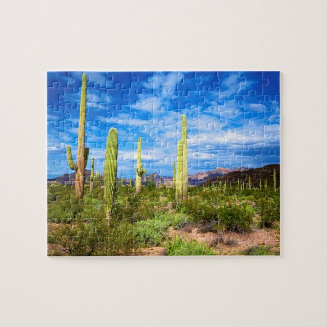 Quebra-cabeça Paisagem de cacto do deserto, Arizona (Horizontal)