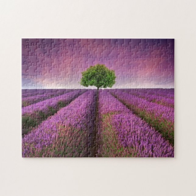Quebra-cabeça Paisagem de campo lavanda — Verão — Sunset (Horizontal)