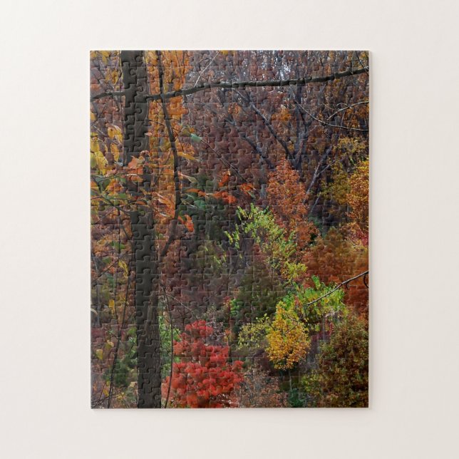 Quebra-cabeça Paisagem de Outono em Arkansas Jigsaw Puzzel (Vertical)