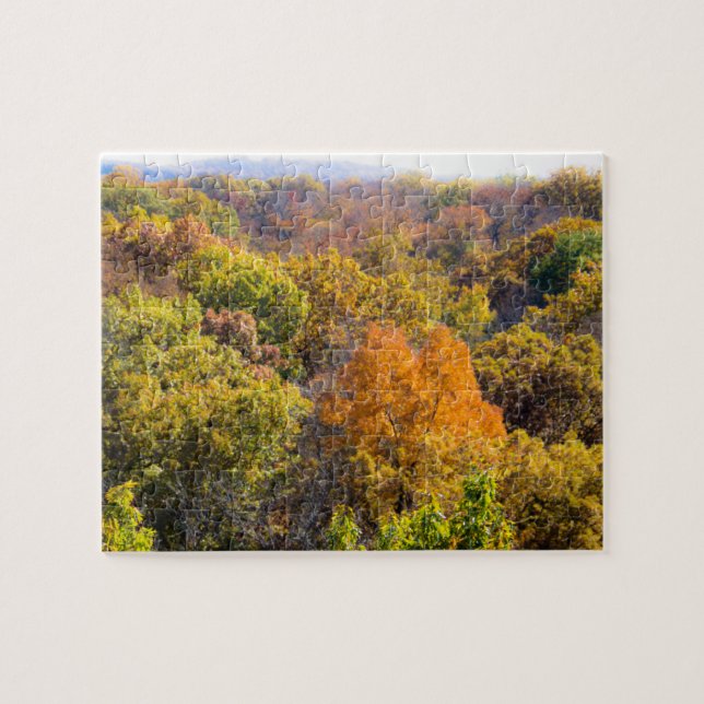 Quebra-cabeça Paisagem de Queda Cêntica (Horizontal)