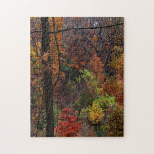 Quebra-cabeça Paisagem de queda no Puzzel do Arkansas em Jigserr