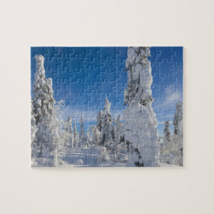 Quebra-cabeça Paisagem do inverno em Lappland