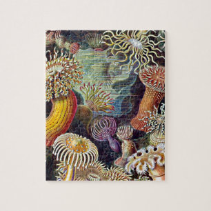 Quebra-cabeça Paisagem Natural Do Mar De Haeckel Anemone Ocean L