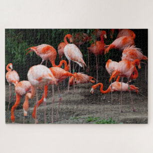 Quebra-cabeça Paisagem tropical Cena Flamingo Jigsera Quebra-cab