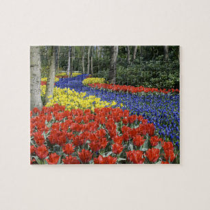 Quebra-cabeça Países Baixos, Holanda, Lisse, Jardins Keukenhof