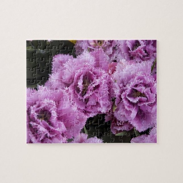 Quebra-cabeça Países Baixos (também conhecidos por Holland), Lis (Horizontal)