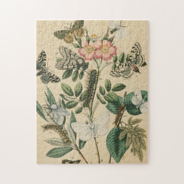 Quebra-cabeça Palcos da vida da borboleta pelo Vision Studio (Vertical)