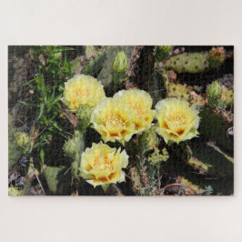 Quebra-cabeça Pale Yellow Cactus Blossoms