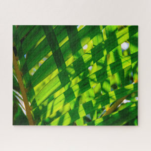 Quebra-cabeça Palm Deixa Xadrez, Kapaa, Kauai, Havaí
