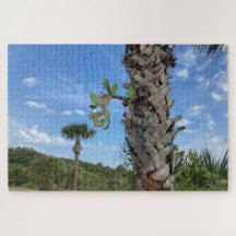 Palm & Prickle - Enigmas da Brasa Silenciosa