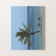 Palm Tree on the Beach