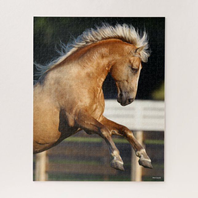 Quebra-cabeça Palomino Tennessee Walker Stallion Rearing (Vertical)