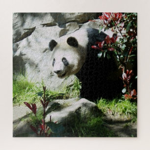 Quebra-cabeça Panda Bear Smile
