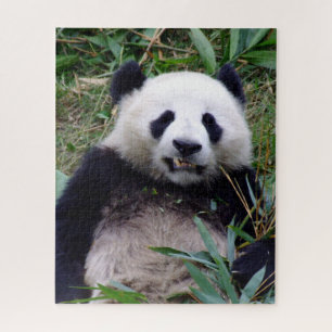 Quebra-cabeça Panda Smile enquanto almoçava Bamboo (quebra-cabeç