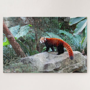 Quebra-cabeça panda-vermelho