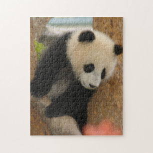 Quebra-cabeça PandaSD009