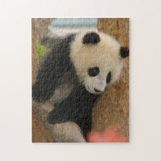 Quebra-cabeça PandaSD009