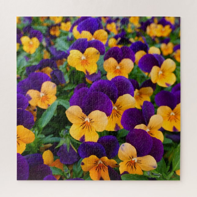 Quebra-cabeça Pansy Bloom: Fechamento da Bela do Jardim. (Vertical)