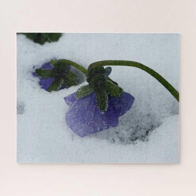 Quebra-cabeça Pansy roxo na neve (Horizontal)