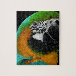 Quebra-cabeça Papagaio