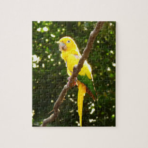 Quebra-cabeça Papagaio Amarelo