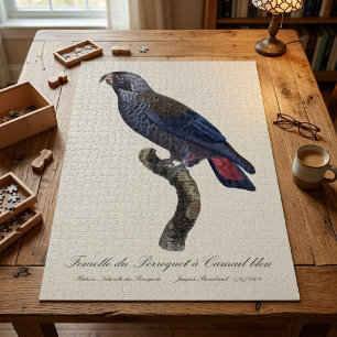 Quebra-cabeça Papagaio-cinza, Pionus fuscus