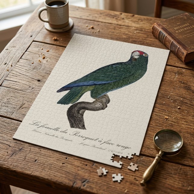 Quebra-cabeça Papagaio-cubano-fêmea, Amazona leucocephala (Female Cuban Amazon Parrot, Amazona Leucocephala. Jigsaw Puzzle)