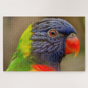 Quebra-cabeça Papagaio Divertido Difícil 1.000 Peças