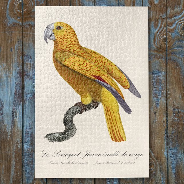 Quebra-cabeça Papagaio do Paraíso de Cuba, Psittacus Paradisi (Le Perroquet Jaune ecaille de rouge. Jigsaw Puzzle)