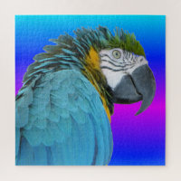 Papagaio Quebra-cabeça: Macaw Amarelo Azul
