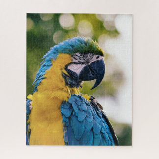 Quebra-cabeça Papagaio Tropical de Macaw Azul e Amarelo