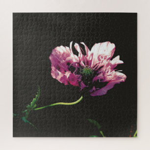 Quebra-cabeça Papaver Sugarplum