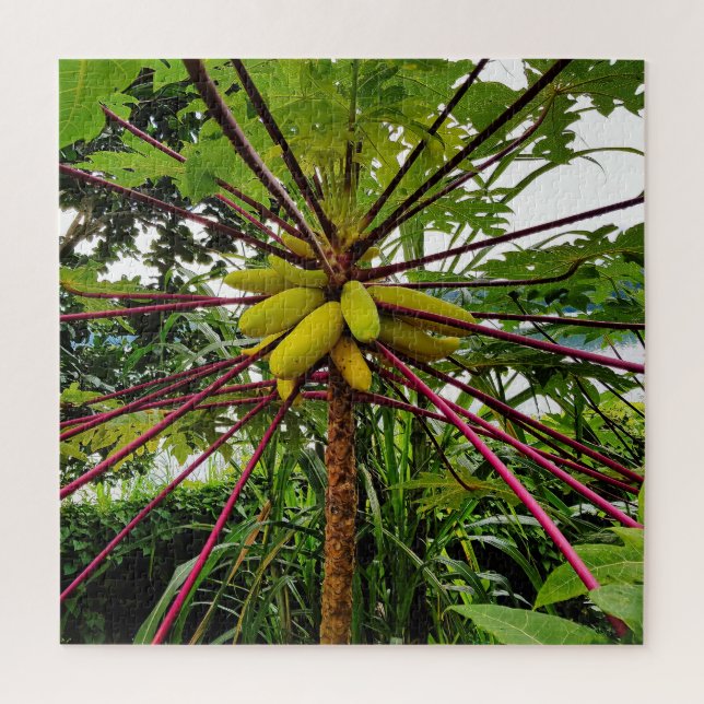 Quebra-cabeça Papaya Tree (Vertical)